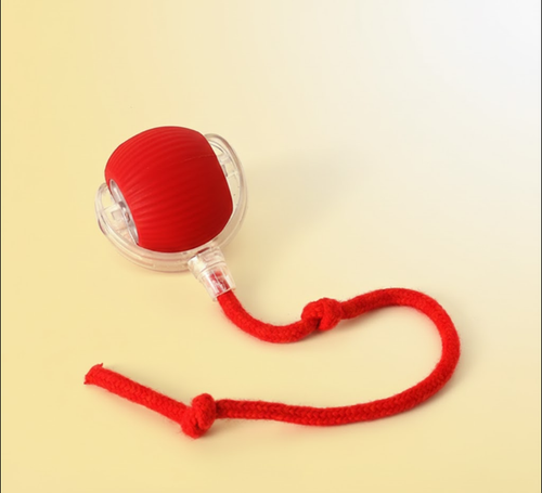 KopsiLinka | Zabawka Linka elektryczna dla kotów i psów 🤩